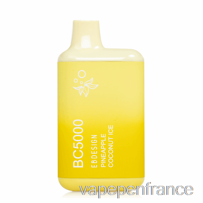 Stylo Vape Jetable à Glace à L'ananas Et à La Noix De Coco, Bc5000